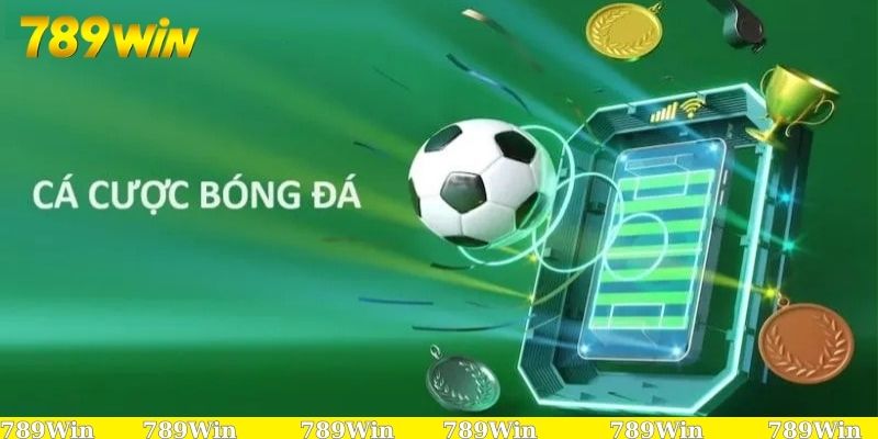 Các kèo thường gặp khi soi kèo UEFA Champions League