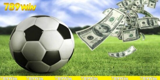 Soi kèo bóng đá Việt Nam