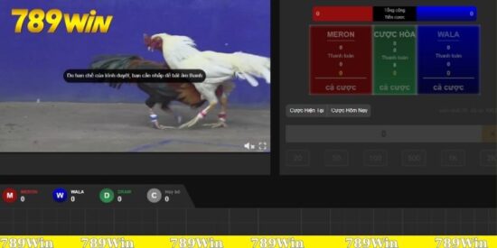 Đá gà online 789Win