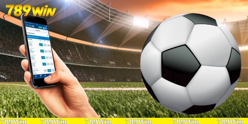 Soi kèo bóng đá Việt Nam - Bí quyết thắng lớn cùng cao thủ 3 Đừng quên phân tích lịch sử đối đầu khi soi kèo bóng đá Việt Nam